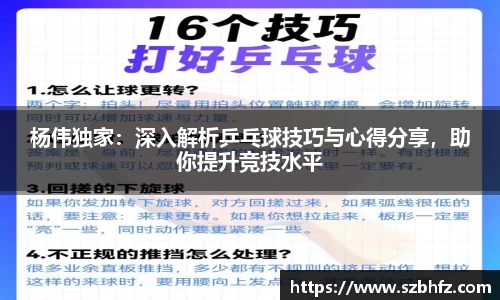 杨伟独家：深入解析乒乓球技巧与心得分享，助你提升竞技水平