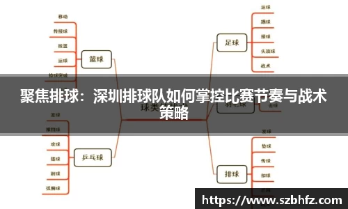 聚焦排球：深圳排球队如何掌控比赛节奏与战术策略