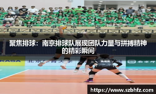 聚焦排球：南京排球队展现团队力量与拼搏精神的精彩瞬间