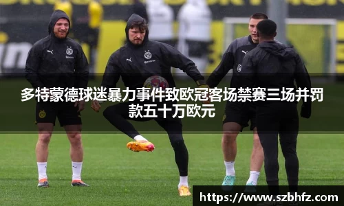 多特蒙德球迷暴力事件致欧冠客场禁赛三场并罚款五十万欧元