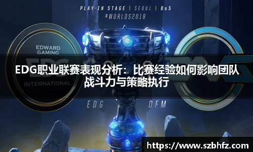 EDG职业联赛表现分析：比赛经验如何影响团队战斗力与策略执行
